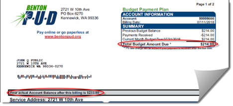 Budget Plan bill example