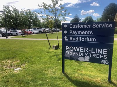 photo of powerline friendly tree display outside of the Kennewick lobby