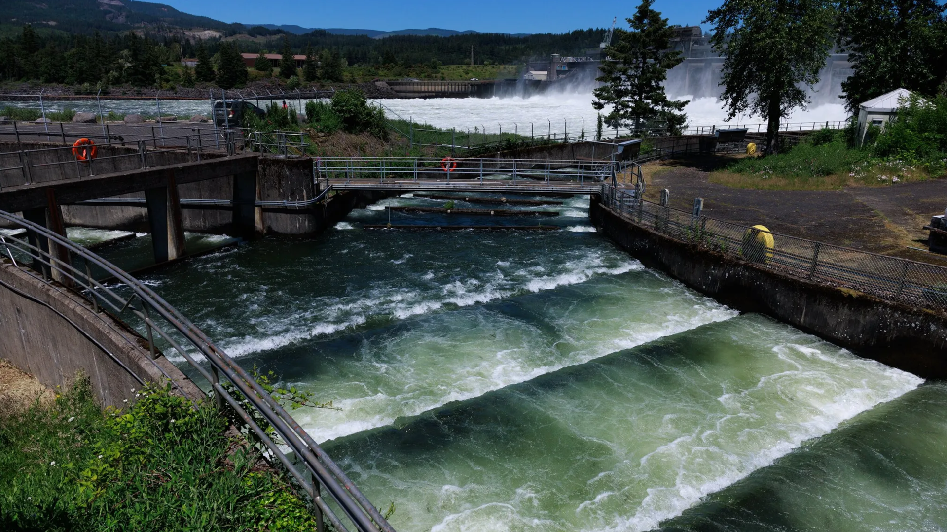 Seattle Times Hydro Opinion