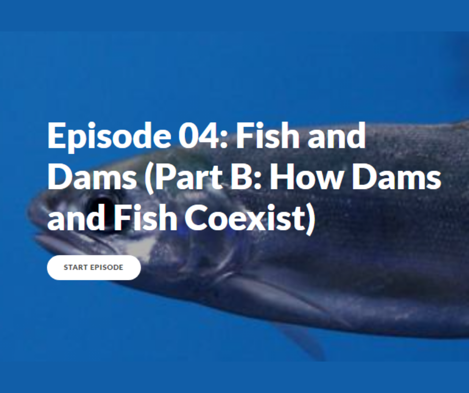 Episode 04: Fish and Dams Part B